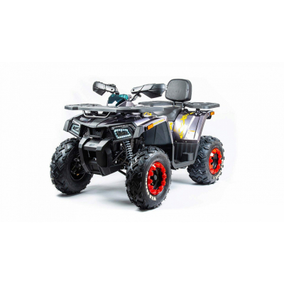 квадроцикл 200WILD  TRACR X(баланс. вал) ВелоМото40 Калуга